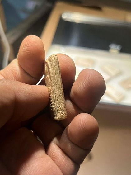 พระวัดเกศ เจ็ดชั้น รูปที่ 6