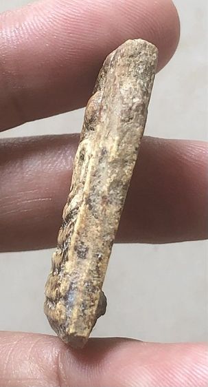 สมเด็จเก่าๆ รูปที่ 3