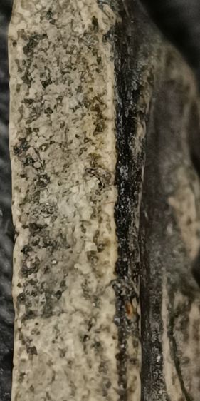 พระสมเด็จวัดระฆัง รูปที่ 9