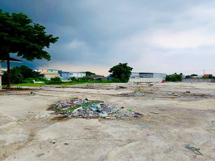 ขายที่ดินเปล่า ลวดสวาย ลำลูกกาคลอง4 เนื้อที่ 6 ไร่ รูปที่ 4