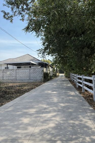 ขายที่ดิน ภูบ่อบิด ต.ชัยพฤกษ์ อ.เมือง จ.เลย  รูปที่ 3