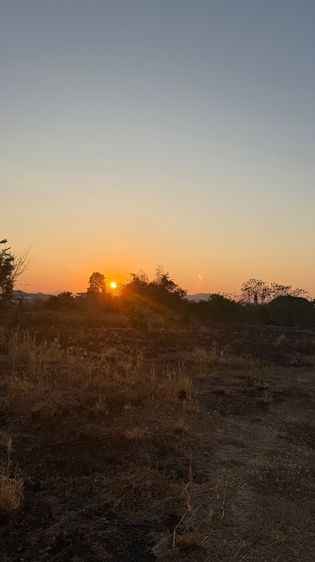  ขายที่ดิน ภูบ่อบิด ต.ชัยพฤกษ์ อ.เมือง จ.เลย  รูปที่ 4