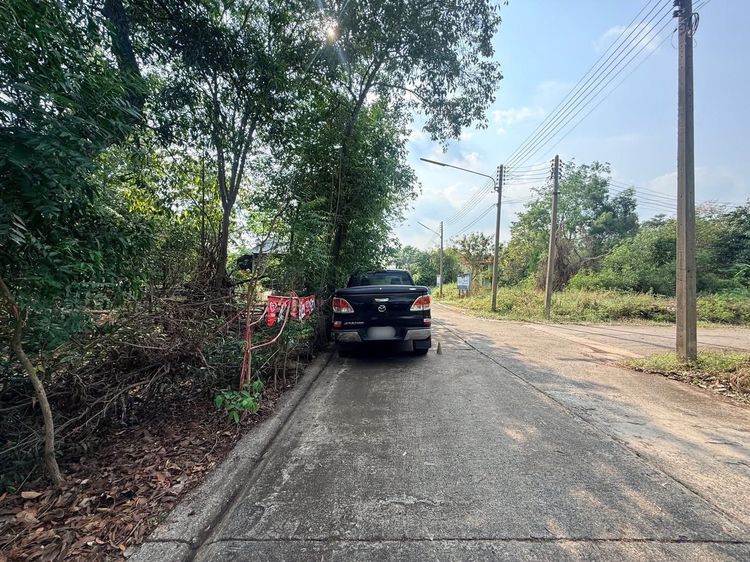 ขายที่ดิน 70 ตรว ติดถนนสาธารณะ ถมแล้ว หมู่บ้านสวนรีสอร์ท คลองห้าตะวันตก จ.ปทุมธานี   รูปที่ 2