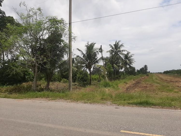 ที่ดินเปล่า รูปที่ 2