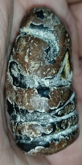 พระปิดตา พิมปั้น หลวงพ่อแก้ว สวยแชมร์ มีใบรับรองพระแท้ รูปที่ 3