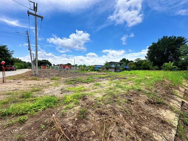 ใช่ ขายที่ดิน267ตรว.ที่สวยติด3ถนนด้านข้างติดคลองเจ้าพระยา รูปที่ 2