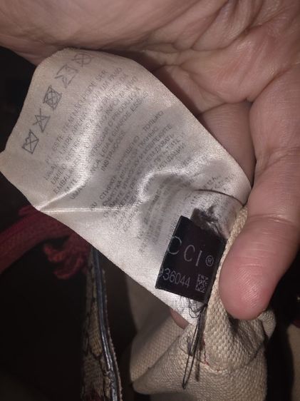 gucci kid  รูปที่ 8