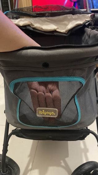 Ibiyaya รถเข็นสุนัขและแมว รูปที่ 3