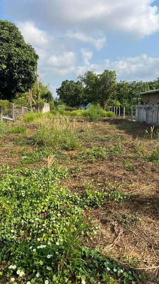 ที่ดินใกล้เขาเขียว136ตรว. ขายขาด หรือ ขายผ่อนตรง 1.15ลบ.