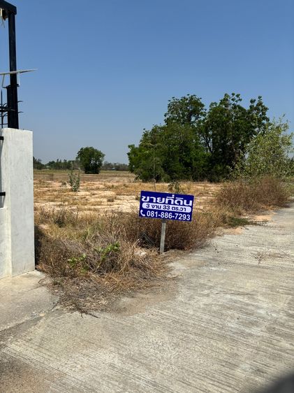 ที่ดิน3งาน33ตรว.(เกือบ1ไร่) รูปที่ 2