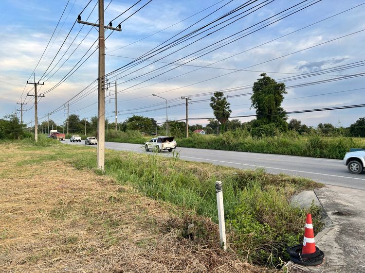 ที่ดิน2ไร่แถวหนองเบน รถผ่านเยอะ รูปที่ 4