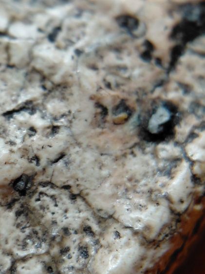 ฐานแซมวัดระฆัง เนื้อเนียนนุ่มแกร่งเก่า รูปที่ 7