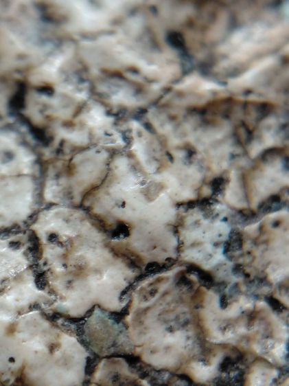 ฐานแซมวัดระฆัง เนื้อเนียนนุ่มแกร่งเก่า รูปที่ 9