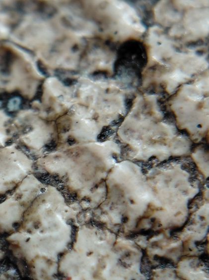 ฐานแซมวัดระฆัง เนื้อเนียนนุ่มแกร่งเก่า รูปที่ 13