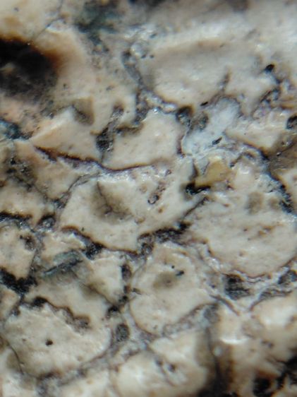 ฐานแซมวัดระฆัง เนื้อเนียนนุ่มแกร่งเก่า รูปที่ 12