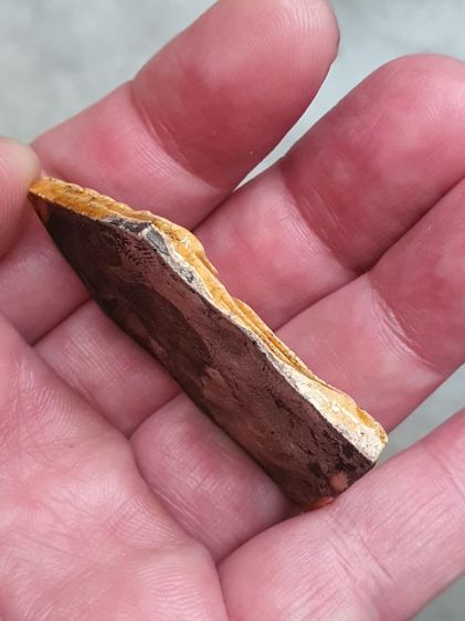 ขุนแผน รูปที่ 4