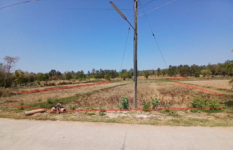 ที่ดิน9ไร่ รูปที่ 3