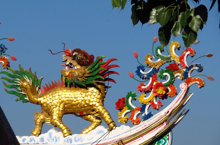 CANON Powershot SX730 HS zoom x40 รูปที่ 4