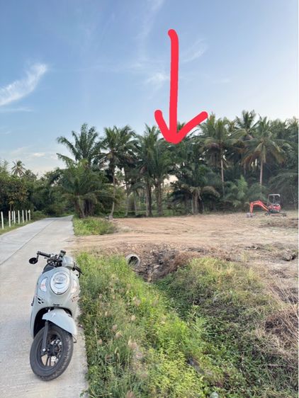 ขายที่ดินวิวเขา เขตเทศบาล ทำเลทอง 