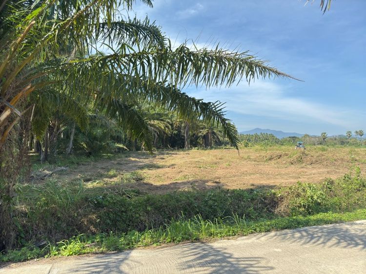 ขายที่ดินวิวเขา เขตเทศบาล ทำเลทอง  รูปที่ 2