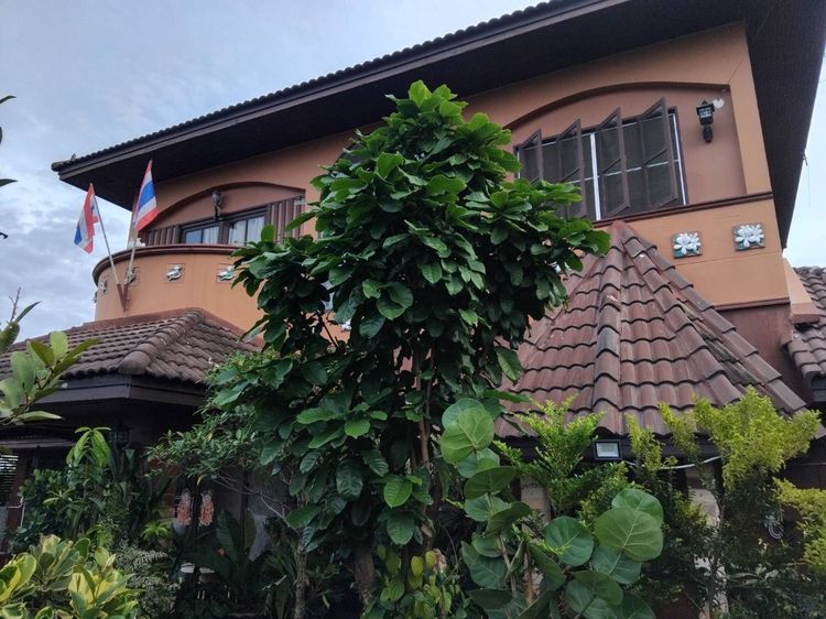 อื่นๆ มีบางส่วน บ้านเดี่ยว 2 ชั้น หลังหัวมุม ทำเลดี วิวสนามกอล์ฟไพน์เฮิร์สท รูปที่ 3