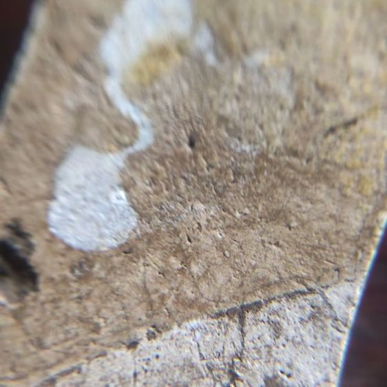 พระสมเด็จเก่าไ รูปที่ 7