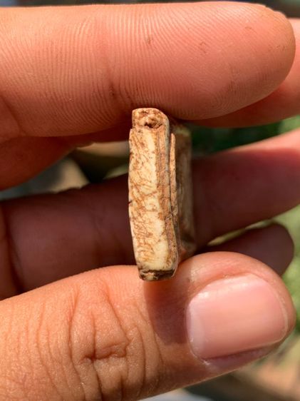 พระสมเด็จ รูปที่ 5