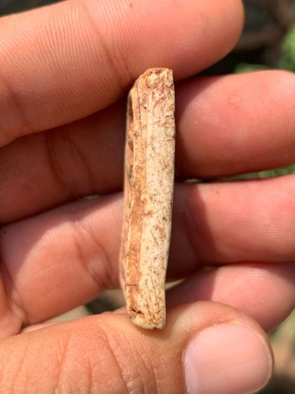 พระสมเด็จ รูปที่ 4