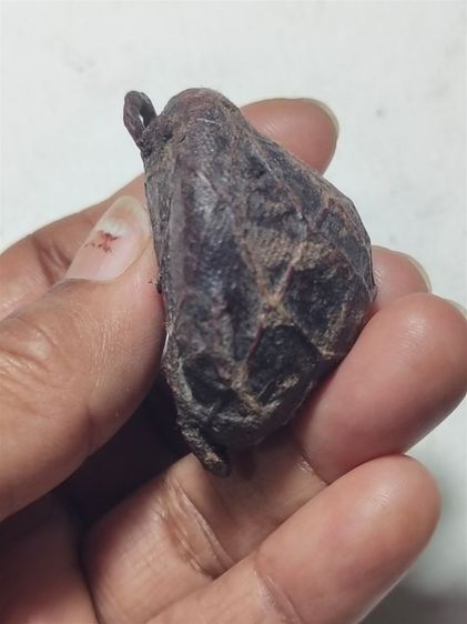 เบี้ยแก้ รูปที่ 3