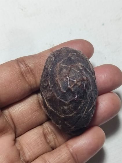 เบี้ยแก้ รูปที่ 4