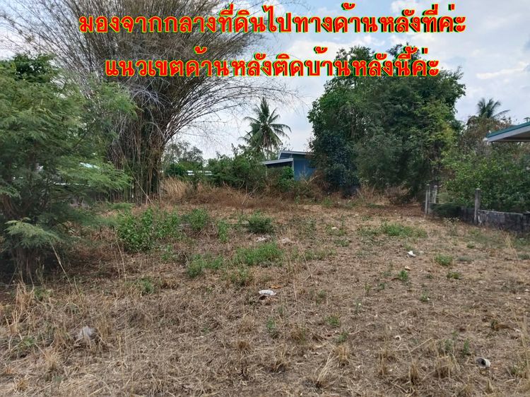 ขายที่ดิน อ.ด่านขุนทด จ.นครราชสีมา พร้อมปลูกบ้านได้เลย รูปที่ 4