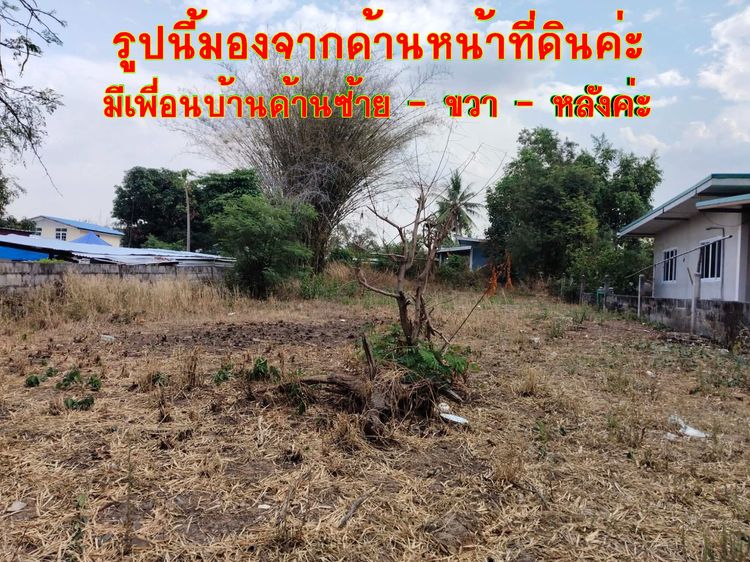 ขายที่ดิน อ.ด่านขุนทด จ.นครราชสีมา พร้อมปลูกบ้านได้เลย รูปที่ 3