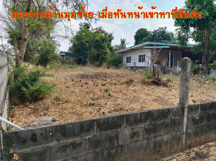 ขายที่ดิน อ.ด่านขุนทด จ.นครราชสีมา พร้อมปลูกบ้านได้เลย รูปที่ 2