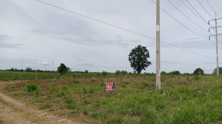 ด่วน ที่ดินวิวกังหันลม ติดถนนใหญ่ สีคิ้ว โคราช ราคาดีแบบนี้ มีแปลงเดียว รูปที่ 2