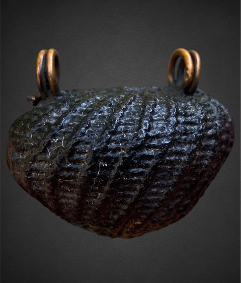 เบี้ยแก้เก่า( เขย่ามีเสียงดัง) รูปที่ 9