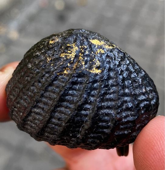 เบี้ยแก้เก่า รูปที่ 8