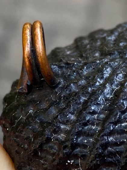 เบี้ยแก้เก่า รูปที่ 5