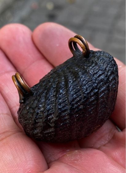 เบี้ยแก้เก่า รูปที่ 13