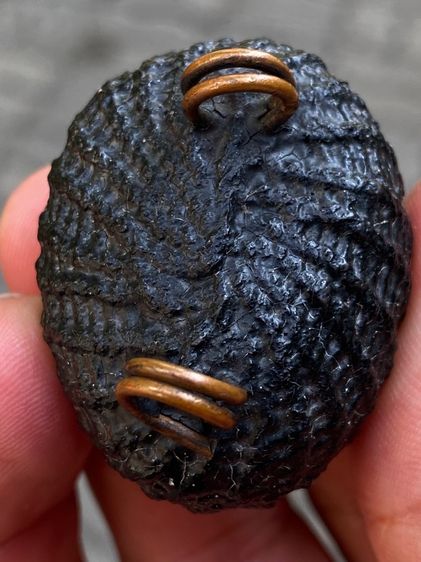 เบี้ยแก้เก่า รูปที่ 12