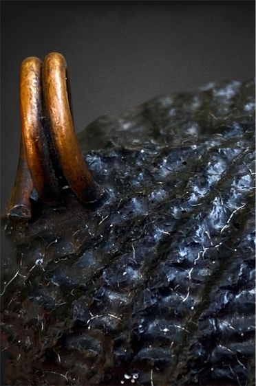 เบี้ยแก้เก่า( เขย่ามีเสียงดัง) รูปที่ 6