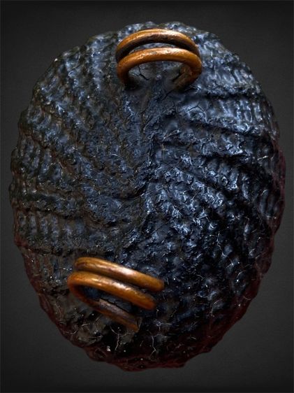 เบี้ยแก้เก่า( เขย่ามีเสียงดัง) รูปที่ 8