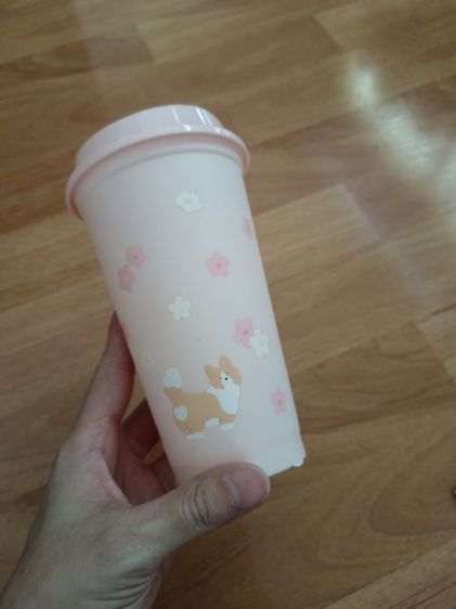 แก้วน้ำสตาร์บัคส์ คอลเลกชัน sakura blossom ลายน้องคอร์กี้ ส่งฟรี รูปที่ 2