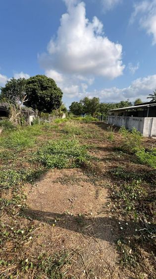 ที่ดินทําเลดี 136ตรว. บางพระ – ศรีราชา ใกล้เขาเขียว 1.15ลบ. รูปที่ 3