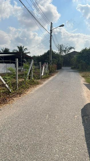 ที่ดินทําเลดี 136ตรว. บางพระ – ศรีราชา ใกล้เขาเขียว 1.15ลบ. รูปที่ 2