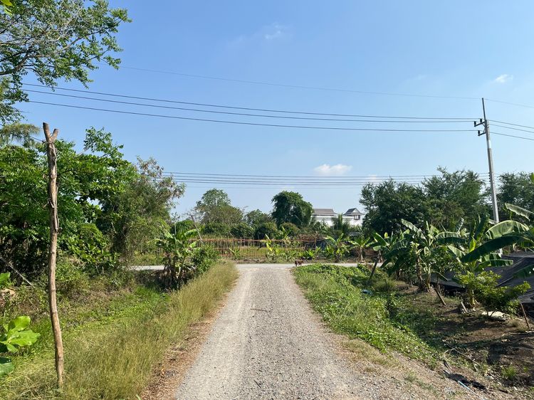 ที่ดินคลองโยง พุทธมณฑล 596 ตารางวา รูปที่ 4