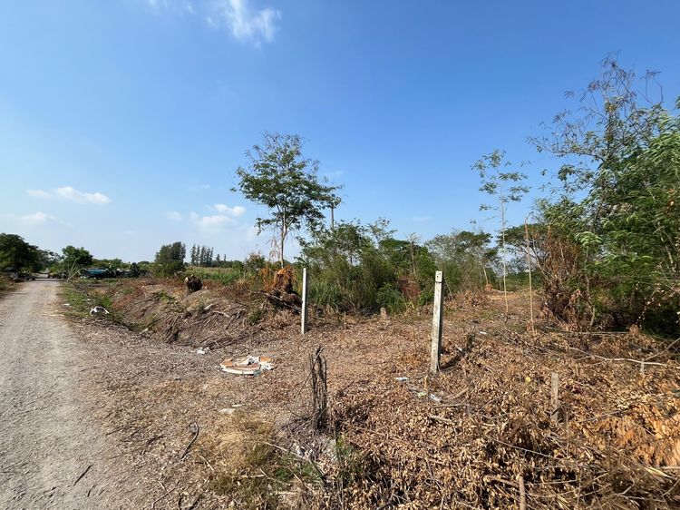 ที่ดินคลองโยง พุทธมณฑล 596 ตารางวา รูปที่ 2