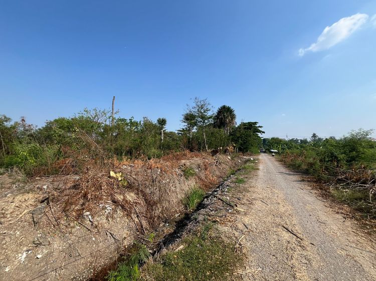 ที่ดินคลองโยง พุทธมณฑล 596 ตารางวา รูปที่ 3