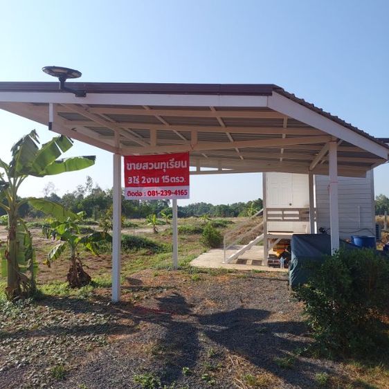 ใช่ ขายสวนทุเรียน3ไร่2งาน15ตรว. รูปที่ 3
