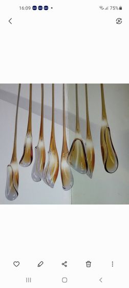 โคมห้อย รูปที่ 2