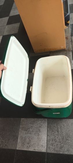 กระติกใส่น้ำแข็ง ช้าง